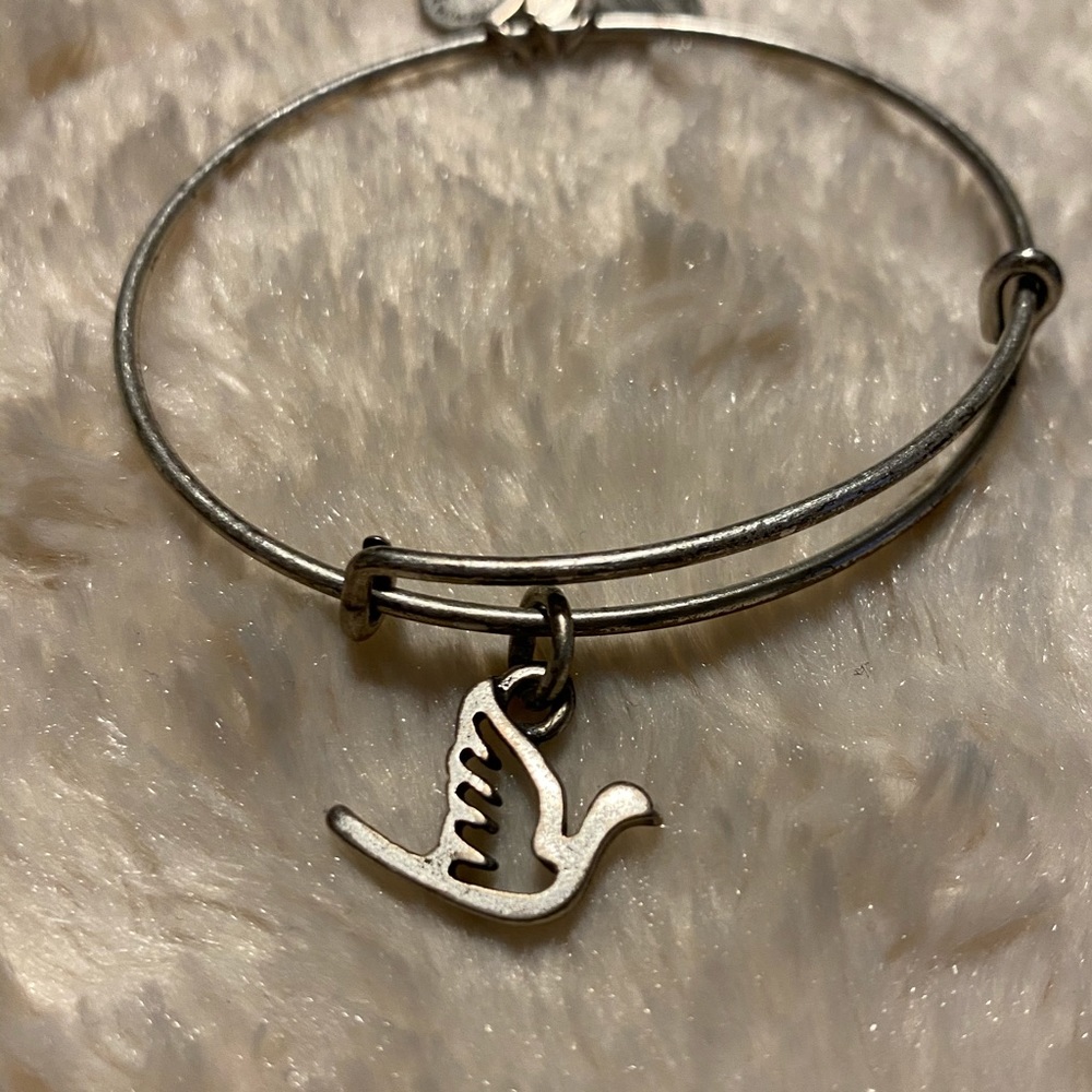 Silver Alex and Ani Bracelet